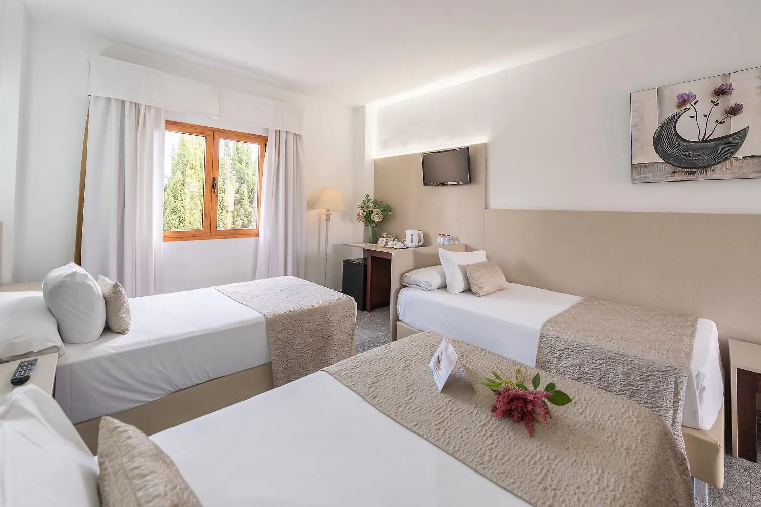 ****  Hotel Plaza Del Castillo Μάλαγα Ισπανία